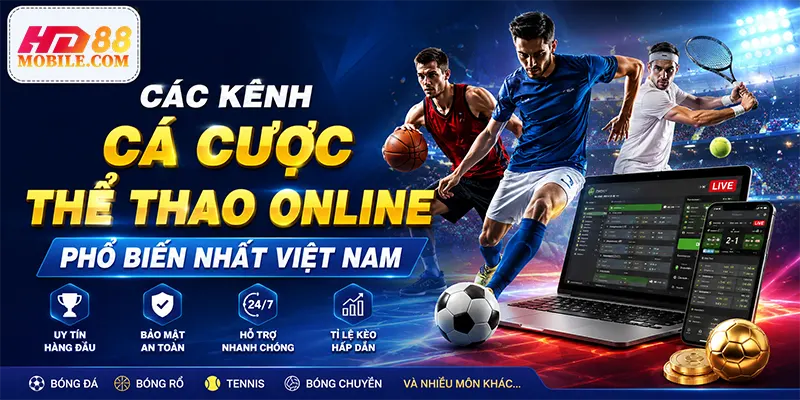 Các Kênh Cá Cược Thể Thao Online Phổ Biến Nhất Việt Nam