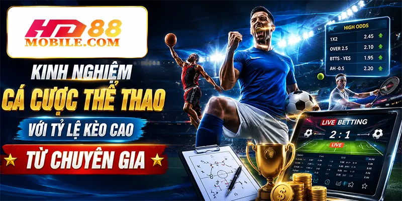 Kinh nghiệm cá cược thể thao với tỷ lệ kèo cao từ chuyên gia